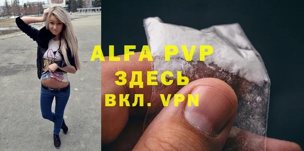 гидра Магас